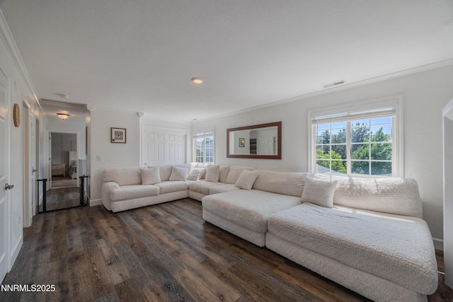 18105 Pasado Ct, Reno, NV 89508 - living area with crown molding, dark wood finished floors, and recessed lighting