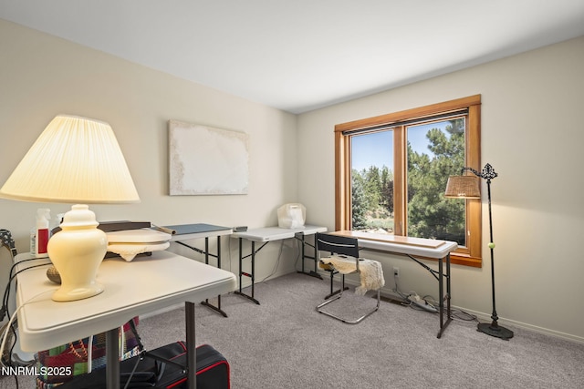 16460 Jefte Ct, Reno, NV 89511 - office area featuring carpet and baseboards