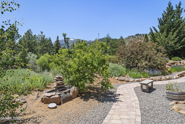 16460 Jefte Ct, Reno, NV 89511 - view of yard featuring a mountain view