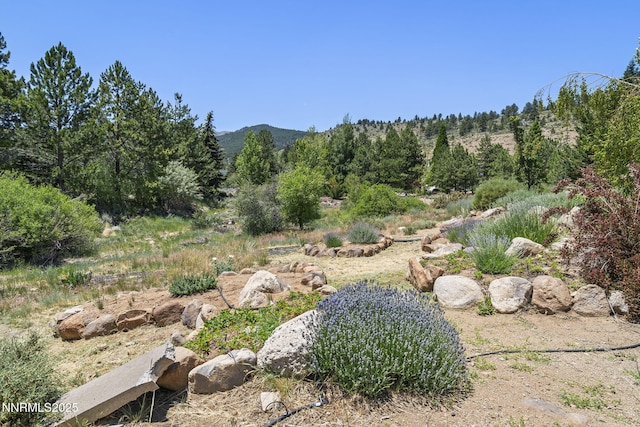 16460 Jefte Ct, Reno, NV 89511 - view of yard with a mountain view