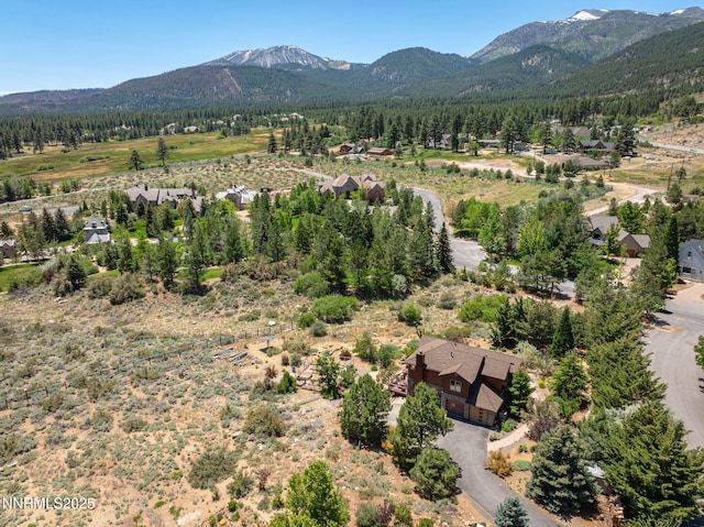 16460 Jefte Ct, Reno, NV 89511 - mountain view with a heavily wooded area