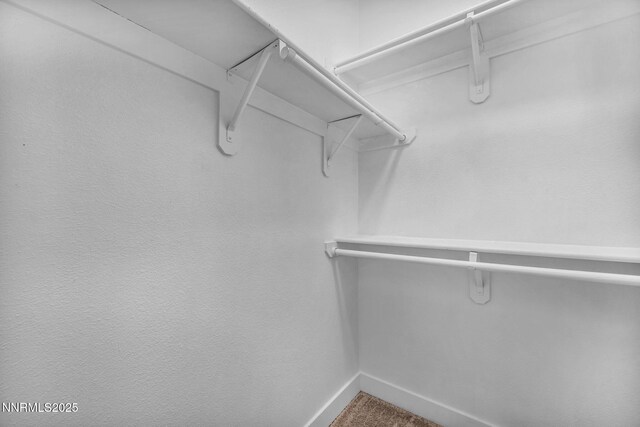 6850 Sharlands Ave # E1017, Reno, NV 89523 - spacious closet with carpet flooring