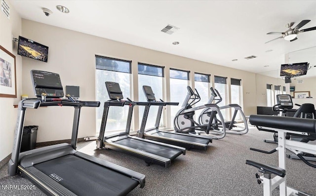 6850 Sharlands Ave # E1017, Reno, NV 89523 - gym with a ceiling fan