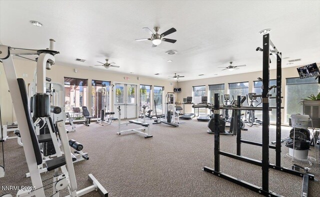 6850 Sharlands Ave # E1017, Reno, NV 89523 - exercise room featuring ceiling fan