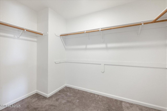 1290 Saddlehorn Ct, Minden, NV 89423 - walk in closet featuring carpet
