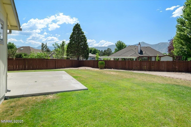1290 Saddlehorn Ct, Minden, NV 89423 - fenced backyard featuring a mountain view and a patio area