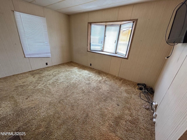 6480 Teal Dr, Fallon, NV 89406 - carpeted spare room featuring wooden walls