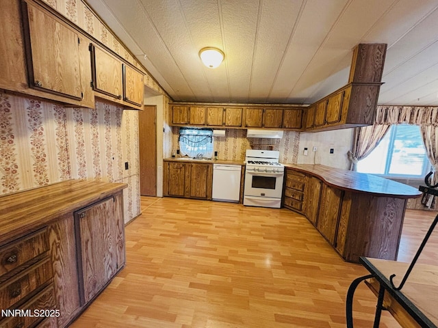 6480 Teal Dr, Fallon, NV 89406 - kitchen featuring white appliances, light wood-style flooring, range hood, and brown cabinetry