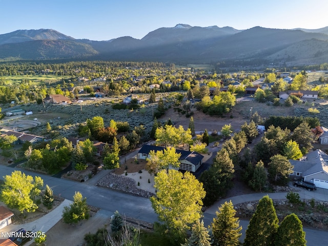 6000 Goldenrod Dr, Reno, NV 89511 - photo 5