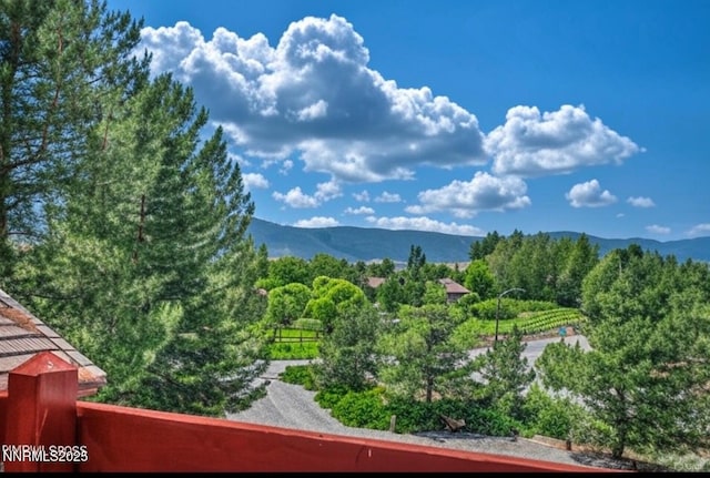 2780 Mario Rd, Reno, NV 89523 - photo 12