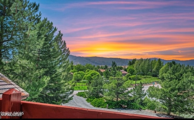 2780 Mario Rd, Reno, NV 89523 - photo 10