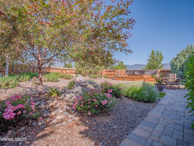 1221 Lasso Ln, Gardnerville, NV 89410 - fenced backyard featuring a patio area