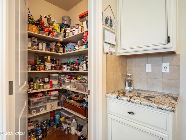 1221 Lasso Ln, Gardnerville, NV 89410 - view of storage area