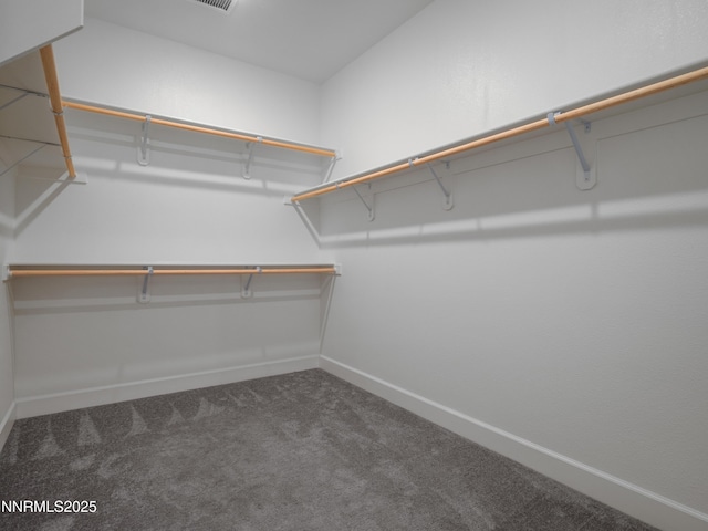 1117 Dapple Dr, Minden, NV 89423 - photo 17
