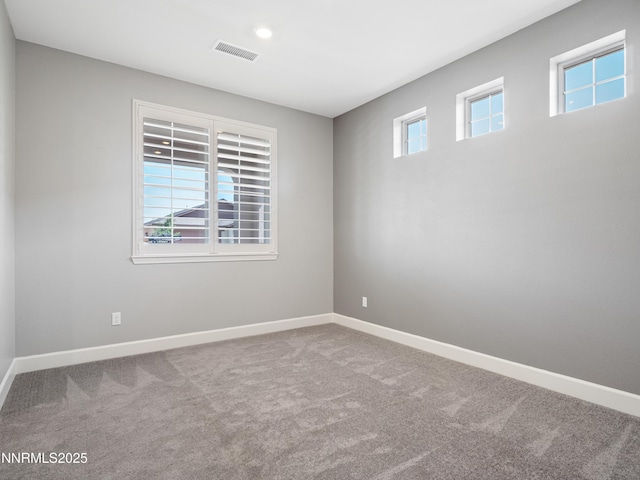 1117 Dapple Dr, Minden, NV 89423 - photo 31