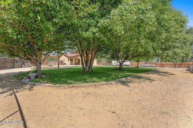 805 Samantha Cir, Fallon, NV 89406 - view of yard