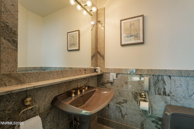 1458 Pittman Ter, Glenbrook, NV 89413 - photo 53