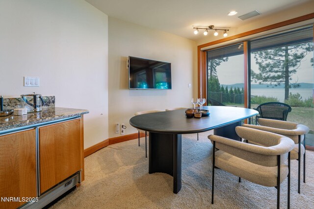1458 Pittman Ter, Glenbrook, NV 89413 - photo 61