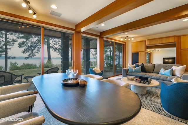 1458 Pittman Ter, Glenbrook, NV 89413 - photo 63