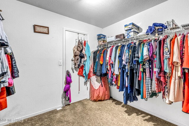 9599 Canyon Meadows Dr, Reno, NV 89506 - photo 27