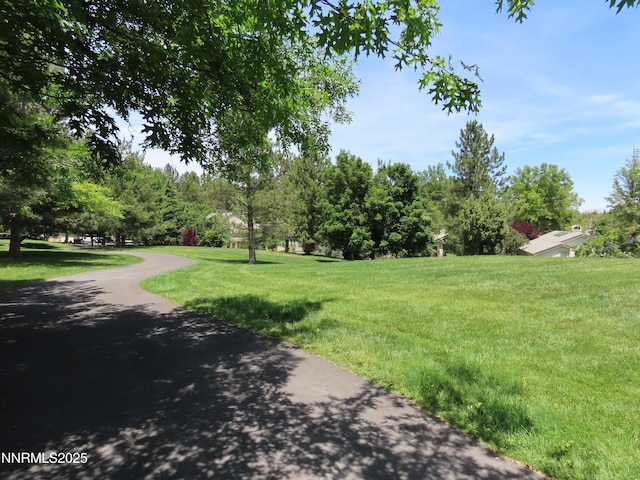 1570 Caughlin Creek Rd, Reno, NV 89519 - view of green lawn