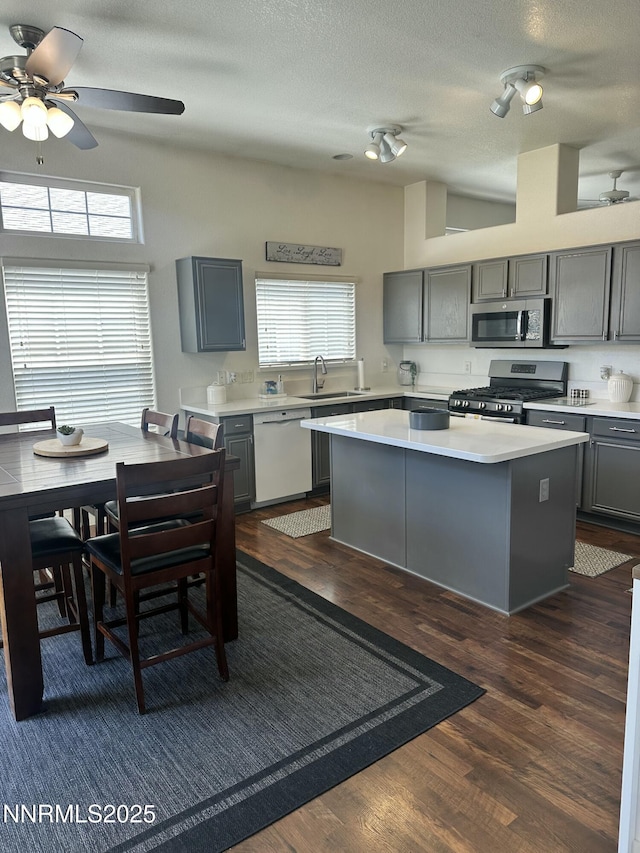 2787 Foxhill Dr, Carson City, NV 89706 - kitchen with stainless steel appliances, gray cabinetry, a sink, light countertops, and a center island