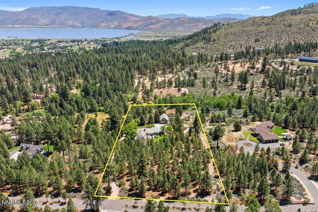 7123 Franktown Rd, Washoe Valley, NV 89704 - photo 36