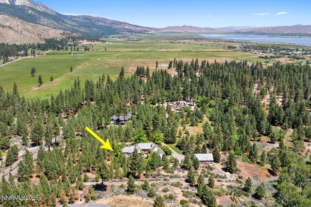7123 Franktown Rd, Washoe Valley, NV 89704 - photo 37