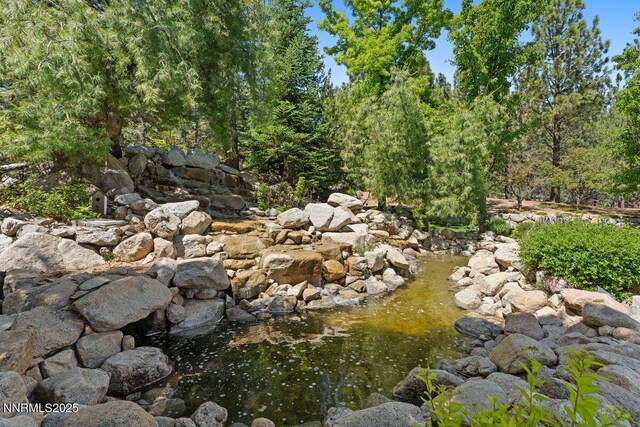 7123 Franktown Rd, Washoe Valley, NV 89704 - photo 35