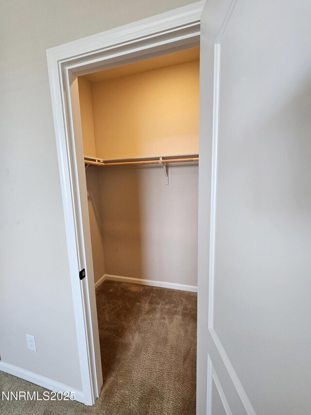 217 Bristol Wells Ct, Spanish Springs, NV 89441 - view of closet