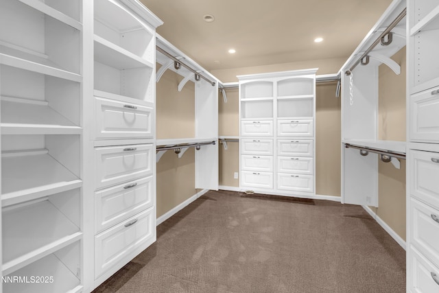 3467 Skyline Blvd, Reno, NV 89509 - walk in closet with dark colored carpet