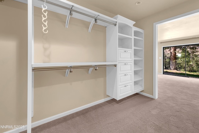 3467 Skyline Blvd, Reno, NV 89509 - walk in closet featuring carpet floors