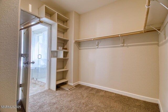 10595 Baton Ct, Reno, NV 89521 - photo 41