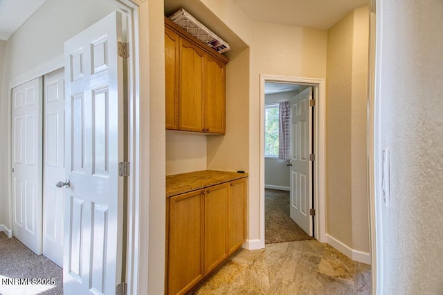 10595 Baton Ct, Reno, NV 89521 - hall with baseboards