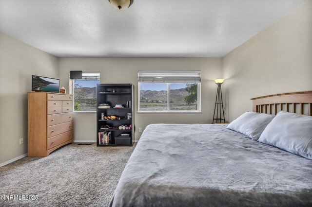 3250 Eaglewood Dr, Reno, NV 89502 - carpeted bedroom featuring baseboards