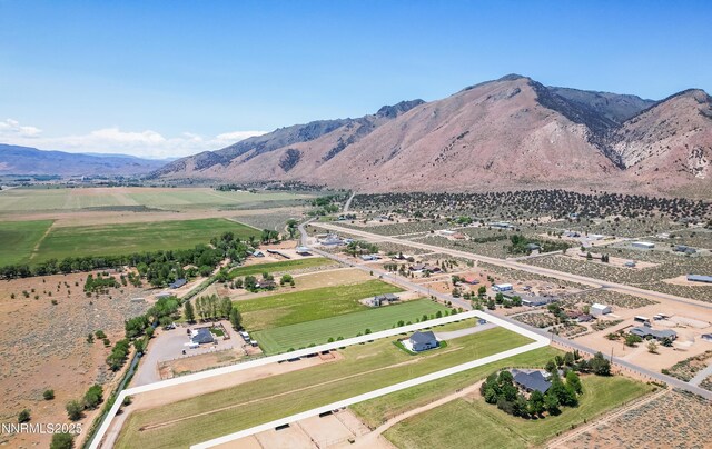 544 Upper Colony Rd, Wellington, NV 89444 - photo 33