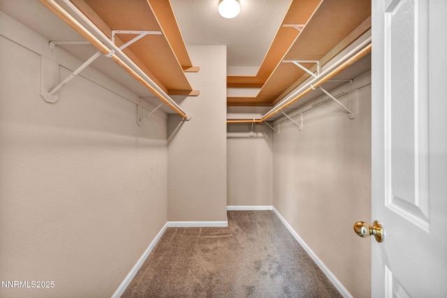 10559 Iron Point Cir, Reno, NV 89521 - walk in closet with carpet flooring