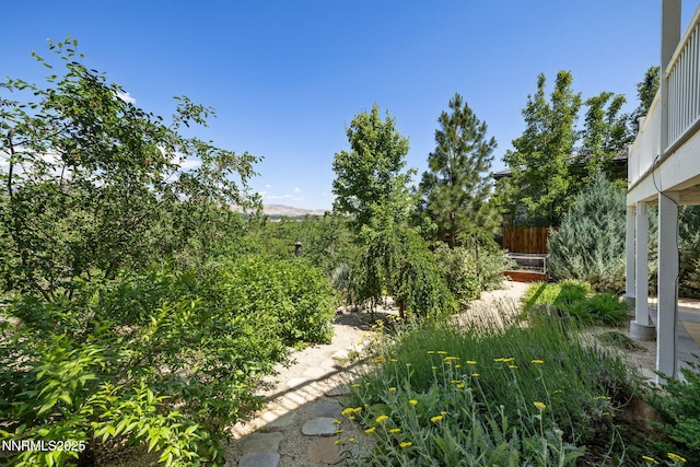 1435 Palisade Dr, Reno, NV 89509 - view of yard