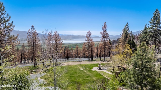 7451 Granite Ridge Ct, Washoe Valley, NV 89704 - photo 1