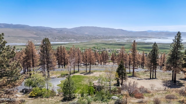 7451 Granite Ridge Ct, Washoe Valley, NV 89704 - photo 2