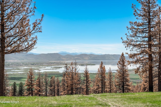 7451 Granite Ridge Ct, Washoe Valley, NV 89704 - photo 3
