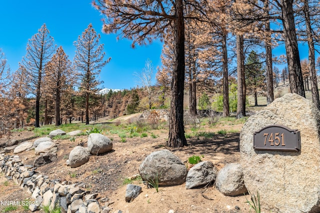 7451 Granite Ridge Ct, Washoe Valley, NV 89704 - photo 6