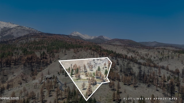 7451 Granite Ridge Ct, Washoe Valley, NV 89704 - photo 8