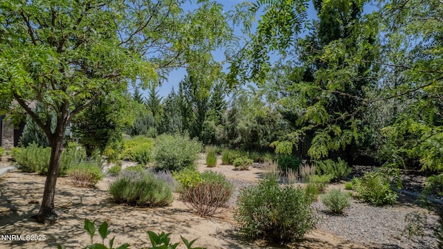 4841 Bougainvillea Cir, Sparks, NV 89436 - photo 22