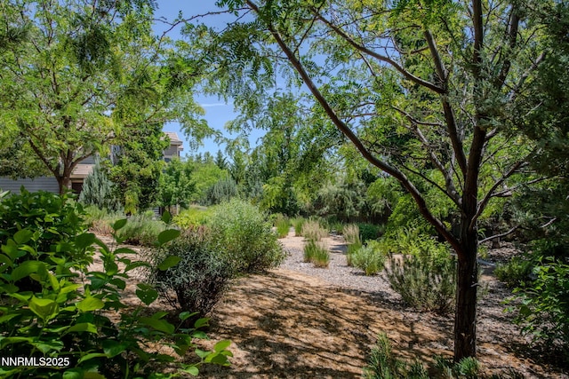 4841 Bougainvillea Cir, Sparks, NV 89436 - photo 25