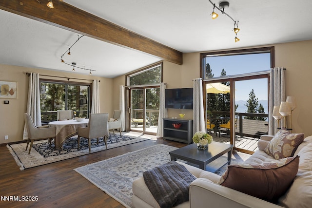 909 Tyner Way, Incline Village, NV 89451 - living room featuring track lighting and wood finished floors