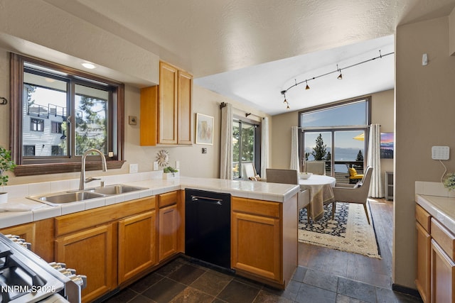 909 Tyner Way, Incline Village, NV 89451 - kitchen featuring a sink, black dishwasher, a peninsula, stove, and rail lighting