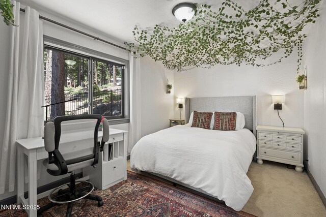 909 Tyner Way, Incline Village, NV 89451 - carpeted bedroom with baseboards