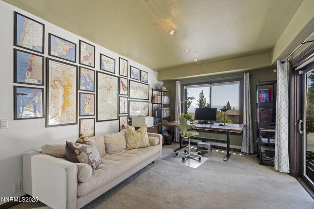909 Tyner Way, Incline Village, NV 89451 - home office with carpet