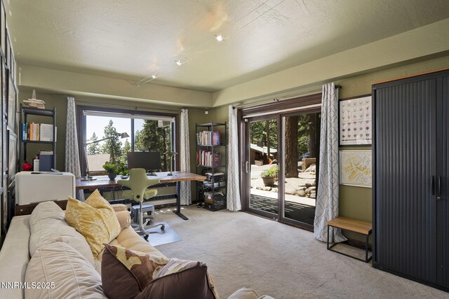 909 Tyner Way, Incline Village, NV 89451 - office with carpet floors